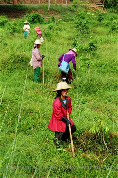 Round trip North Thailand, 2003_1275_27_CH_478